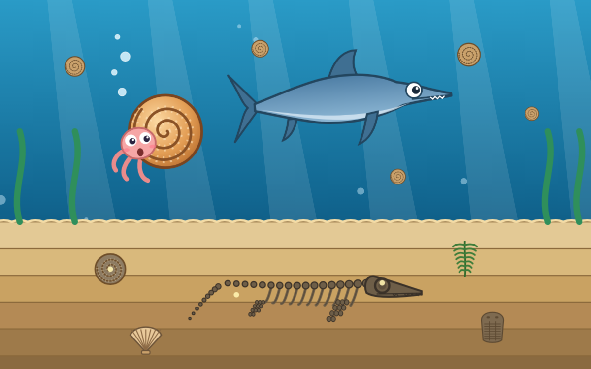 Evolution and Adaptation: A Fossil Coast Adventure