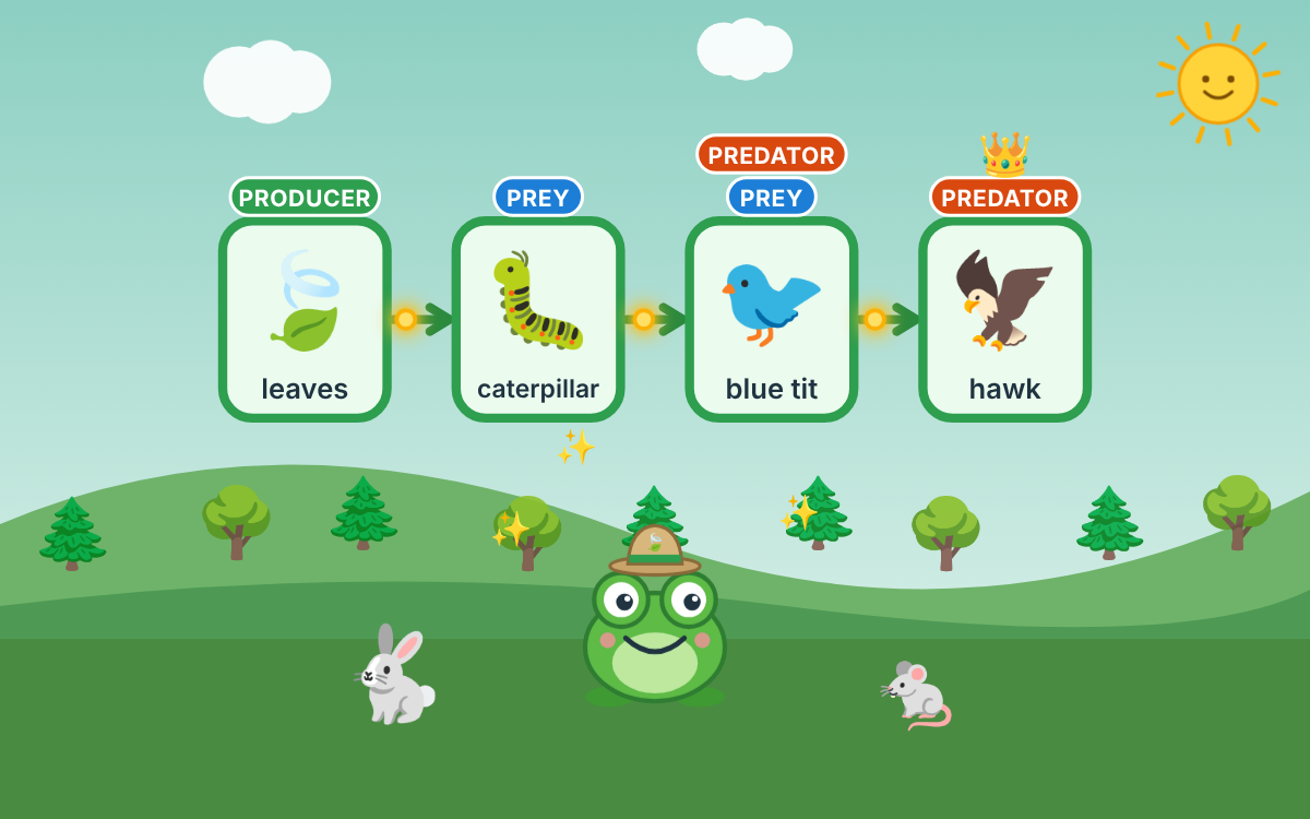 Food Chains: A Wildlife Trail with Fern the Frog