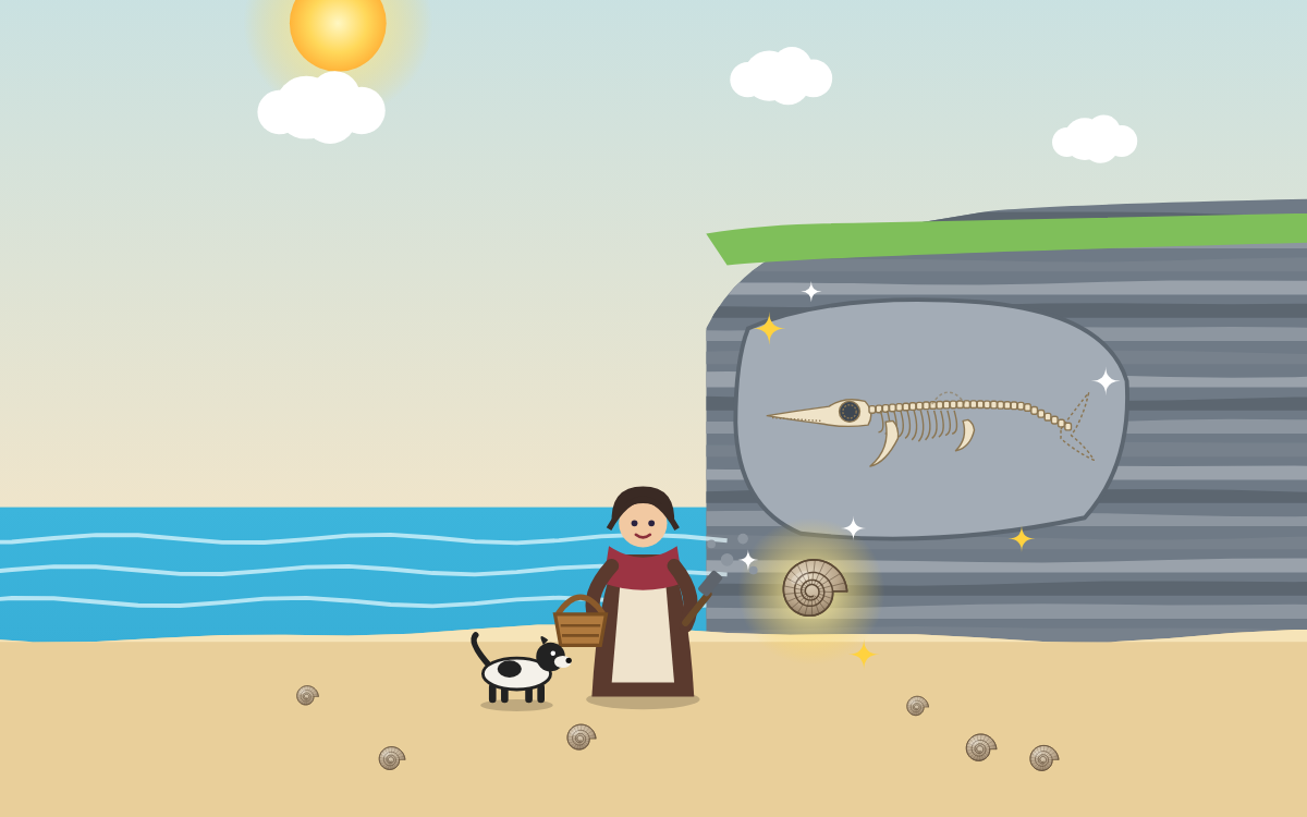 How Fossils Form: Dig Up Clues with Mary Anning