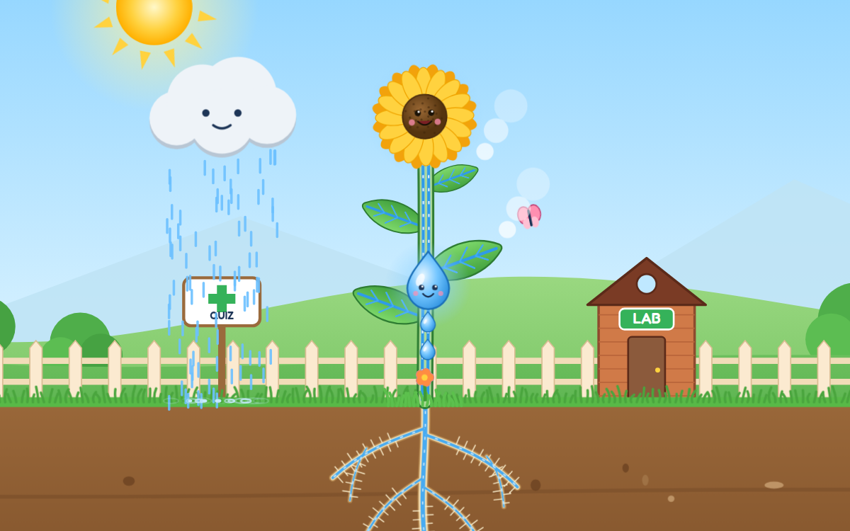 How Water Travels Through Plants: A Raindrop's Journey