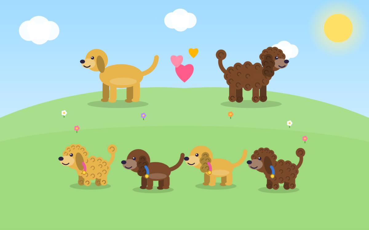 Inheritance and Variation: Puppies, Twins and Family Traits
