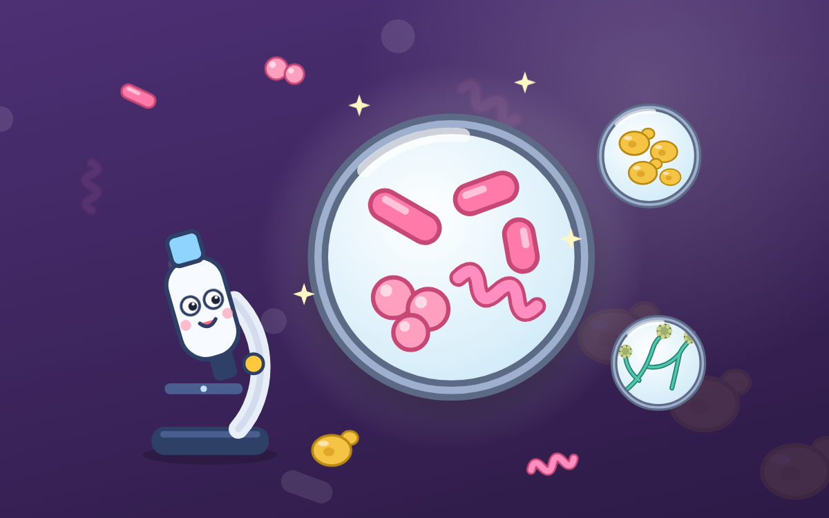 Micro-organisms: A Microscope Adventure in the Tiny Life Lab