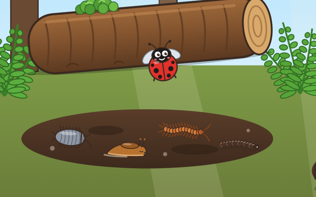 Minibeasts and Microhabitats: A Garden Bug Hunt with Dotty