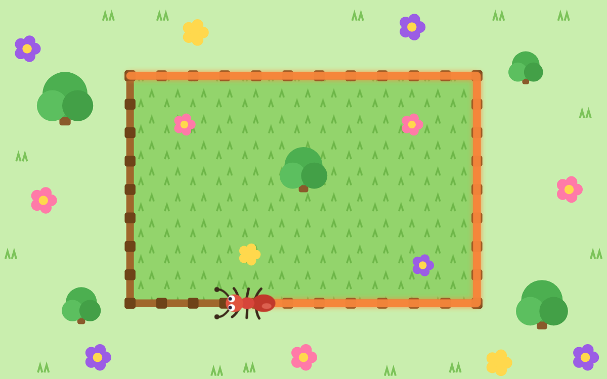 Perimeter of Shapes: Walk All the Way Around with Pip
