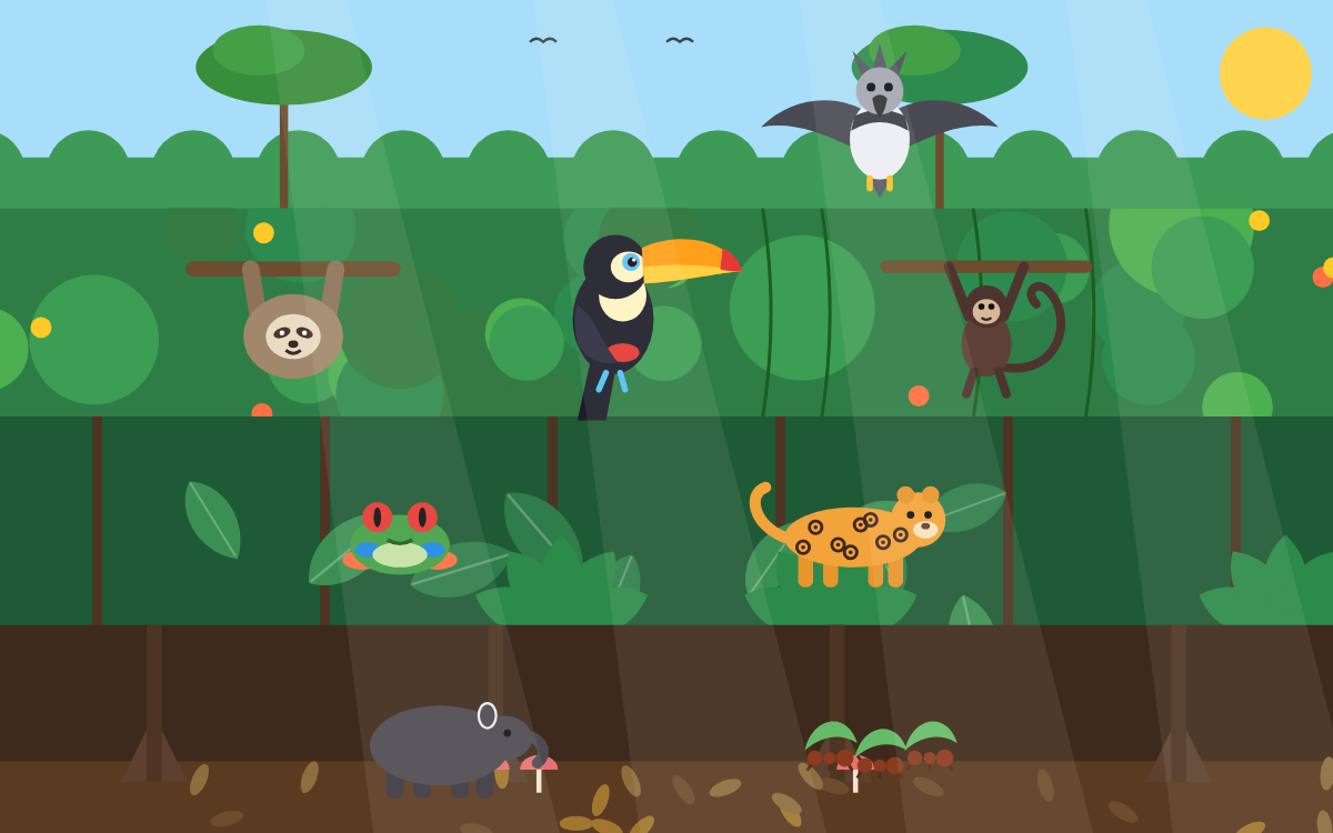 The Rainforest Biome: Explore the Layers with Tico